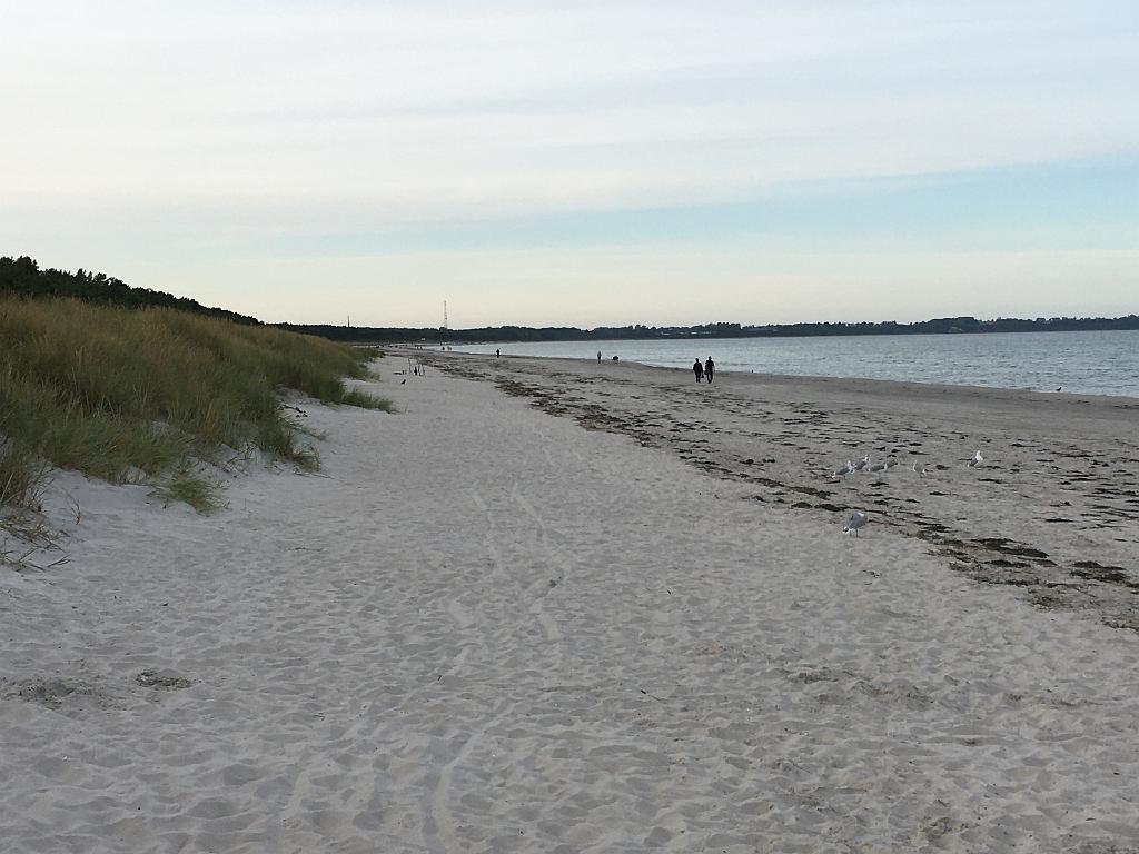 Ruegen (328)